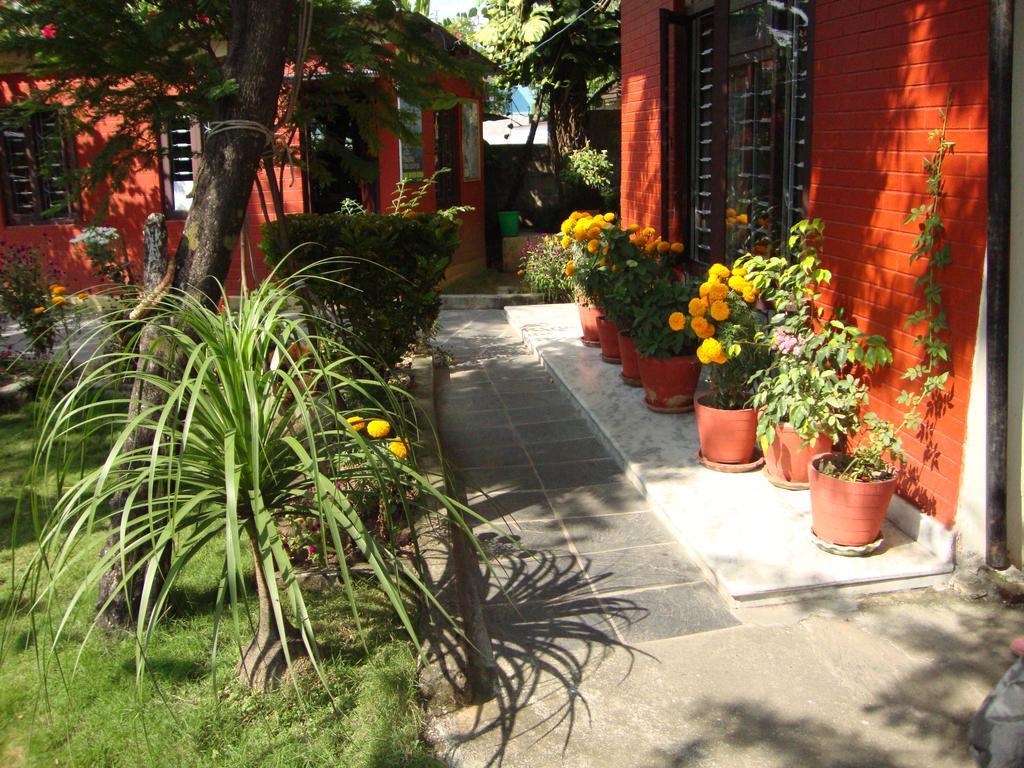 New Summit Guest House Pokhara Luaran gambar